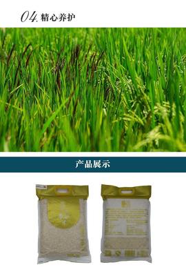 楚娃富硒米 天然有机硒，健康养生新选择