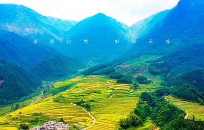 有机大米与稻谷种植的研发创新