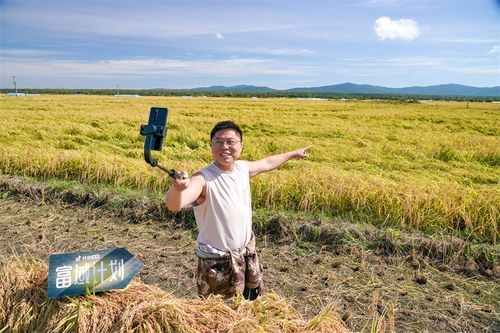 新农人 种下有机稻谷，留住乡村希望