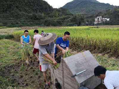 科技扶贫铸丰碑 记我校驻村扶贫队长宋刘斌荣获“全国科技助力精准扶贫工作先进个人”荣誉称号